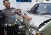 Gara-gara Belalang, Mobil Tabrak Tiang Listrik