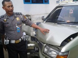 Gara-gara Belalang, Mobil Tabrak Tiang Listrik