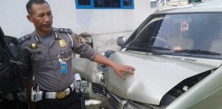 Gara-gara Belalang, Mobil Tabrak Tiang Listrik