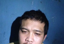 Curi Lagi 8 Kali, Ya Dibui Kembali