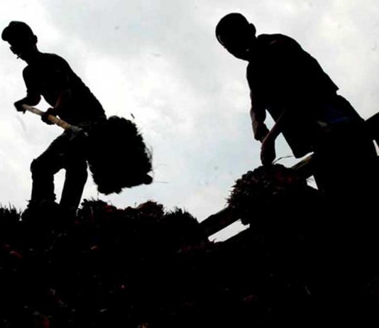 Kerja di Korsel Hanya Digaji Rp 900 Ribu