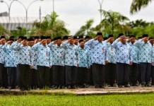 Tahun Ini Ada Penerimaan CPNS