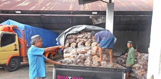 Berawal dari Kuli Sekarang Menjadi Pengusaha Sukses