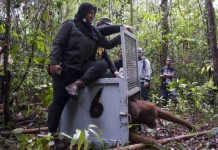 TNGP, Tempat Tinggal Baru untuk Keluarga Mama Nam