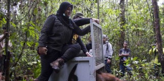 TNGP, Tempat Tinggal Baru untuk Keluarga Mama Nam