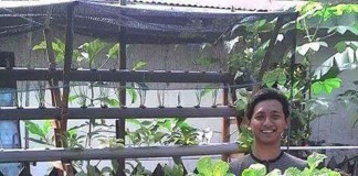 Sayuran Segar Hidroponik yang Bisa Dipetik Sendiri