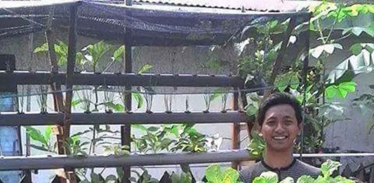 Sayuran Segar Hidroponik yang Bisa Dipetik Sendiri