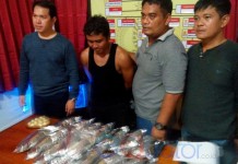 Bandar 17 Kg Sabu Dibekuk