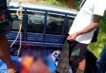 Enam Hari Terbawa Arus, Mayat Katak Mengapung