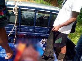 Enam Hari Terbawa Arus, Mayat Katak Mengapung