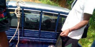 Enam Hari Terbawa Arus, Mayat Katak Mengapung