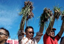 Bawang Merah Sumbang Inflasi 3,4 Persen