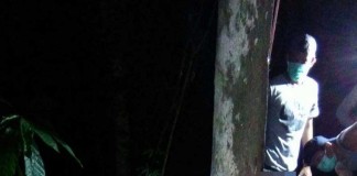 Pejabat Kampus Membusuk di Pohon