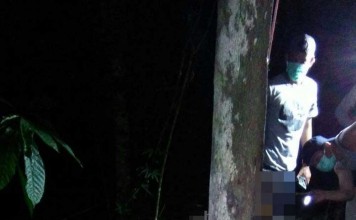 Pejabat Kampus Membusuk di Pohon