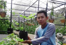 World Need Agriculture, Jadi Motivasi Usahanya