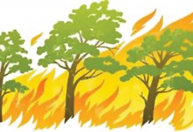 Sekda: Jangan Bakar Lahan Gambut di Pinyuh