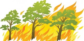 BMKG Terus Pantau Titik Api