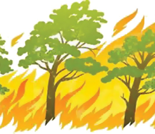 BMKG Terus Pantau Titik Api