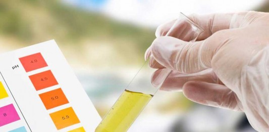 Jelas Arus Mudik dan Balik, Pengemudi Akan Dites Urin