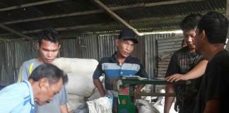 Karet Bengkayang Capai 10 Ton Perhari