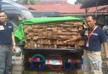 Ribuan Batang Kayu Ilegal Masuk Kota Pontianak