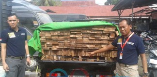 Ribuan Batang Kayu Ilegal Masuk Kota Pontianak