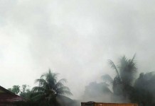 Kontainer Soda Api di Pelindo Terbakar