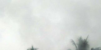 Kontainer Soda Api di Pelindo Terbakar