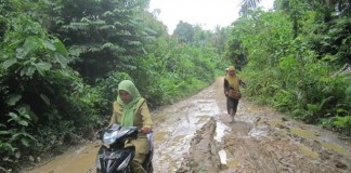 Curahan Hati Lima Guru Sambas, Sentuh Nurani Wakil Rakyat