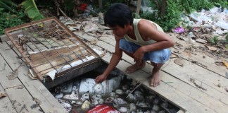 Getah Karet Campur Tanah Bikin Nilainya Turun Kembali