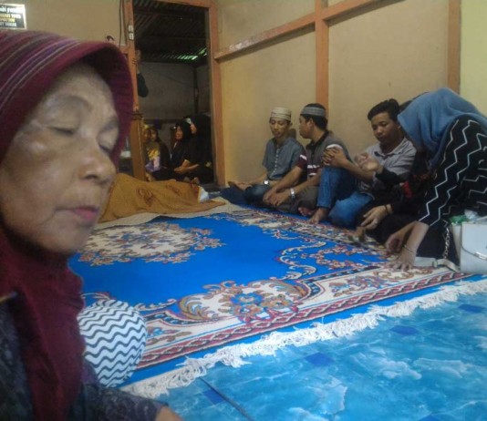 Tersetrum Alat Setrum Ikan, Egi Tak Bernyawa