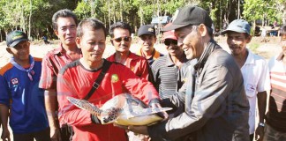 BKSDA dan DKP Lepas Penyu, Warga Paloh Bentuk Lembaga Konservasi