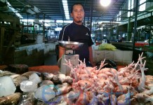 Jelang Ramadan, Harga Daging Ayam Melonjak