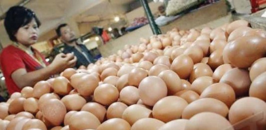 Ayam dan Telur (Masih) Mahal