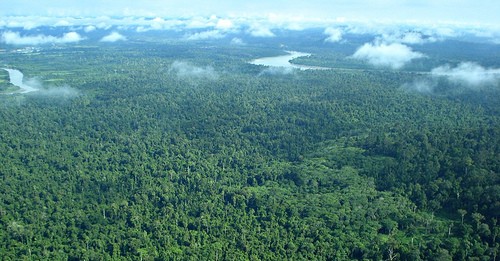 Batas Wilayah Hutan Sulit Terdeteksi
