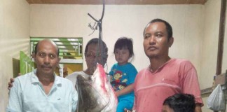 Ikah Tapah 50 Kg Dihargai Rp 1,5 Juta