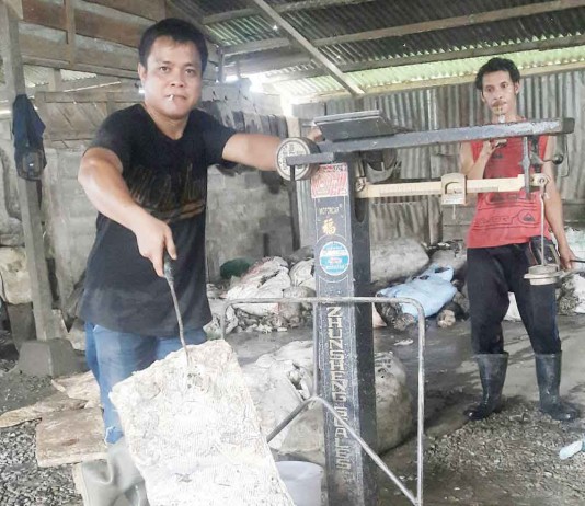 Mutu Rendah, Harga Karet di Bengkayang Merosot