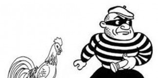 Dikejar Polisi, Ayam Curian Lepas