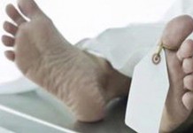 Empat TKI Tewas di Arab Saudi