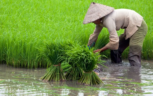 Kades Harus Berkompetisi Bangun Desa