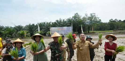 Karolin Ajak Tingkatkan Produksi Pangan