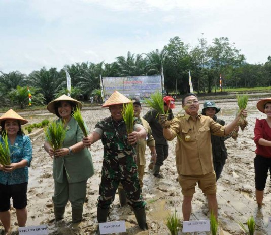 Karolin Ajak Tingkatkan Produksi Pangan