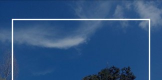 Budi: Owner Walker Clothing Line, Ingin Tampil Beda, Pakai Kaos yang Kami Punya