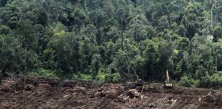 Mengatasi Persoalan Lahan Gambut