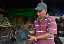 Jurnalis Trip Hutan Desa Batu Ampar (Bagian 2)