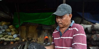 Jurnalis Trip Hutan Desa Batu Ampar (Bagian 2)