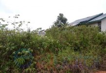 Rumah Khusus Perbatasan Banyak Tak Ditempati, Proyek Kementerian Bisa Dianggap Gagal