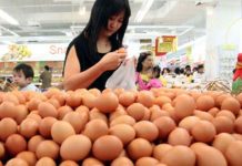 Selalu Terulang Setiap Tahun, Kenaikkan Harga Telur Seperti Foto Copy