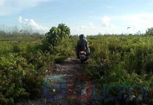 Kebakaran Teluk Empening Bikin Pening (Habis)