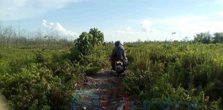 Kebakaran Teluk Empening Bikin Pening (Habis)